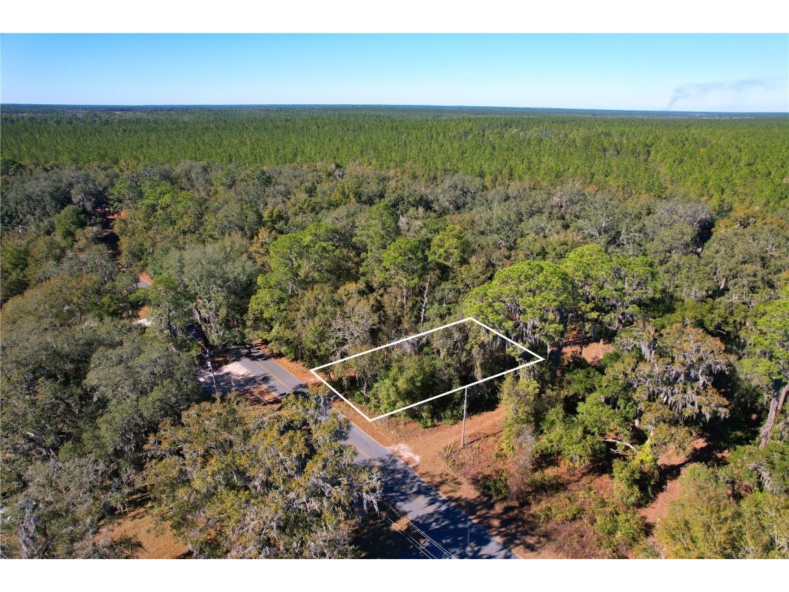 00 Hillcrest Drive Florahome FL 32140 W7872835 image1