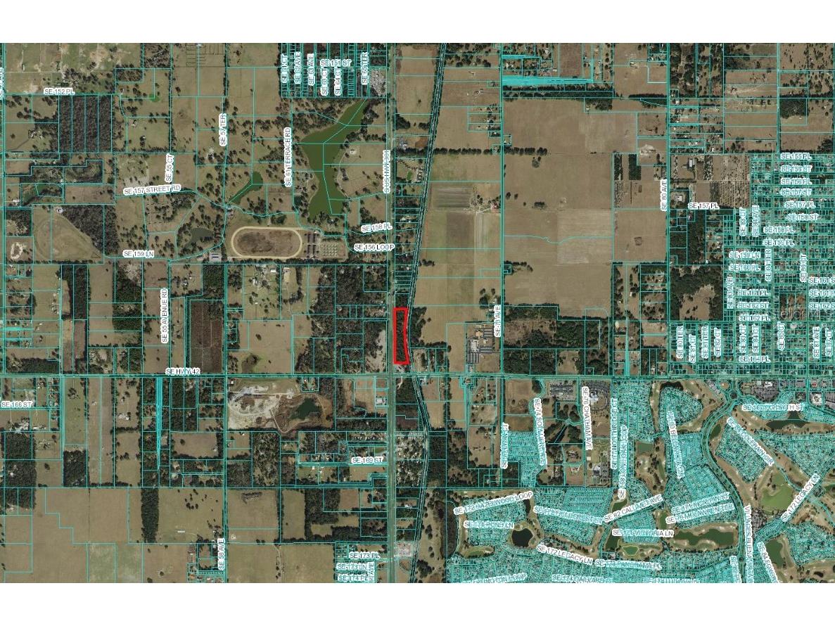 00 Hwy 301 Summerfield FL 34491 G5078782 image2