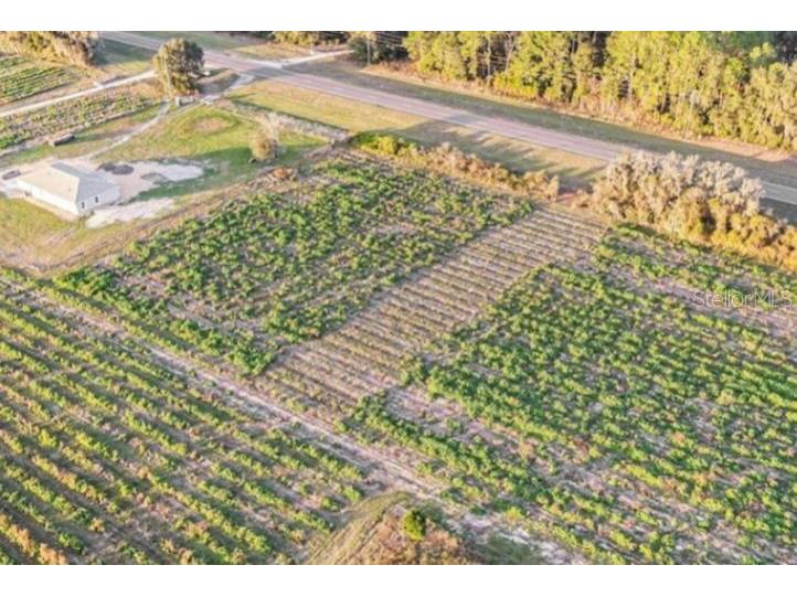 00 Hwy 98 Dade City FL 33523 G5105954 image1