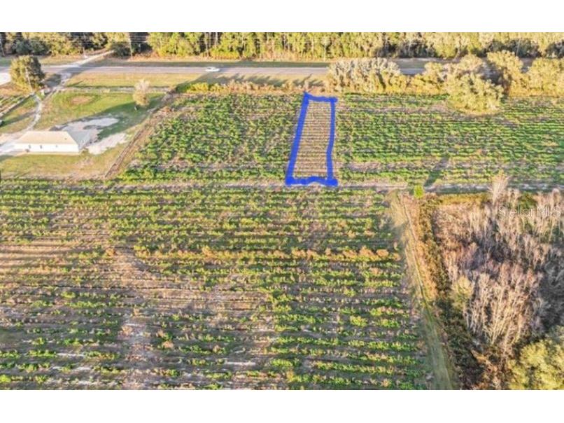 00 Hwy 98 Dade City FL 33523 G5105954 image2