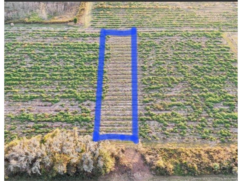 00 Hwy 98 Dade City FL 33523 G5105954 image3