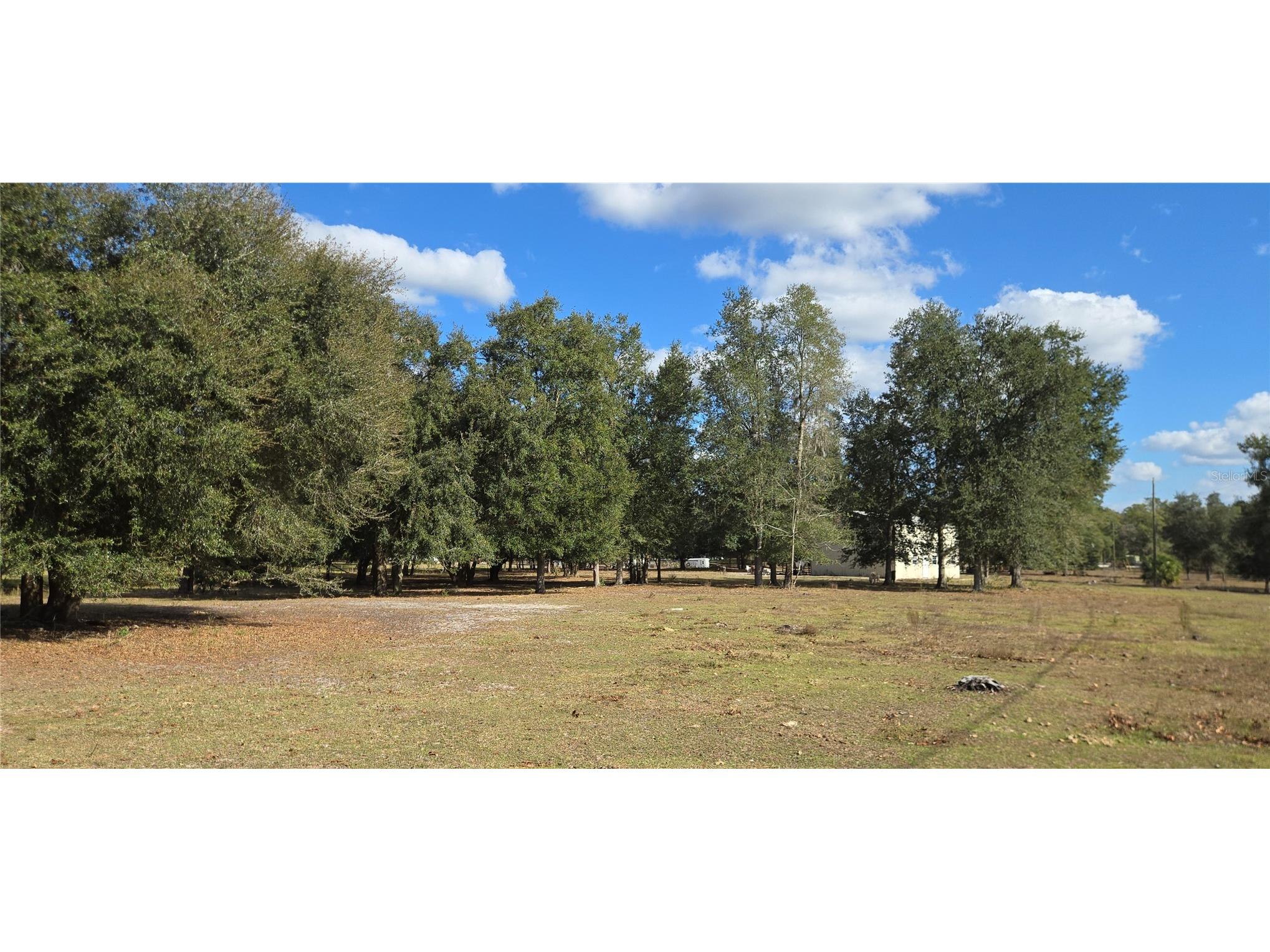 00 Jacobs Way Brooksville FL 34601 OM715839 image1