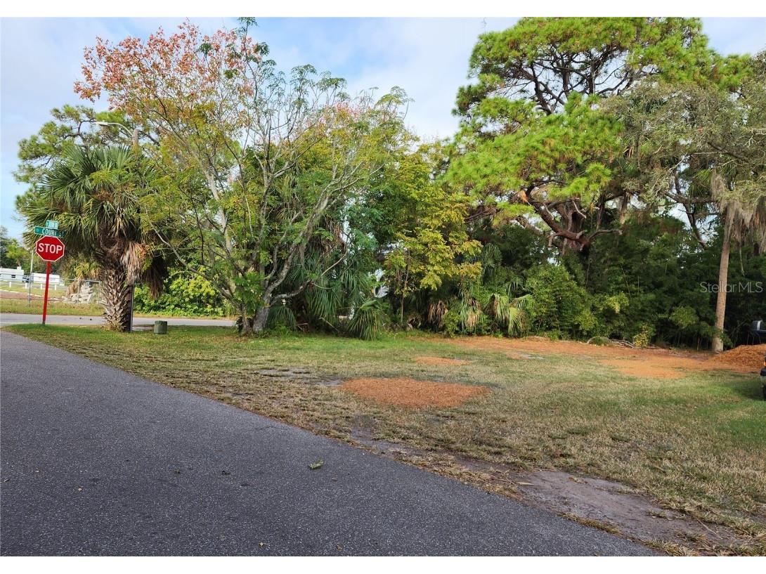 00 Jasmin New Port Richey FL 34654 T3490999 image1