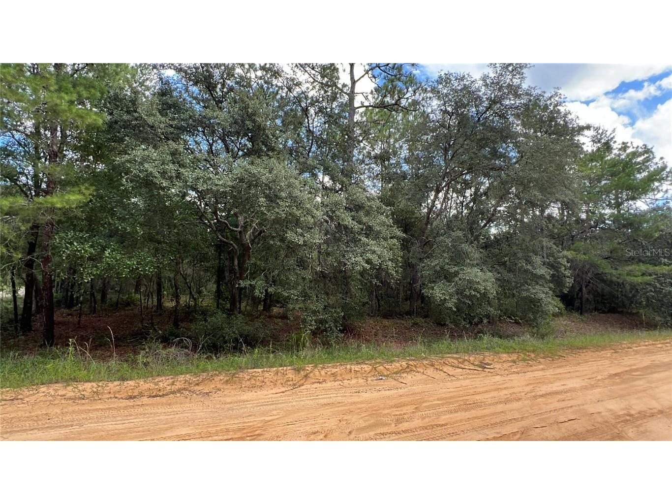 334 Kennedy Avenue Interlachen FL 32148 S5132312 image2