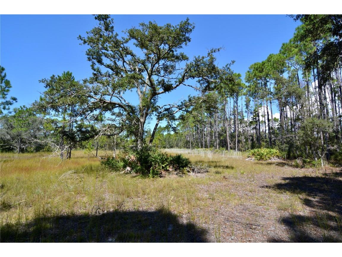 00 Key Deer Ct Perry FL 32348 OM710191 image10