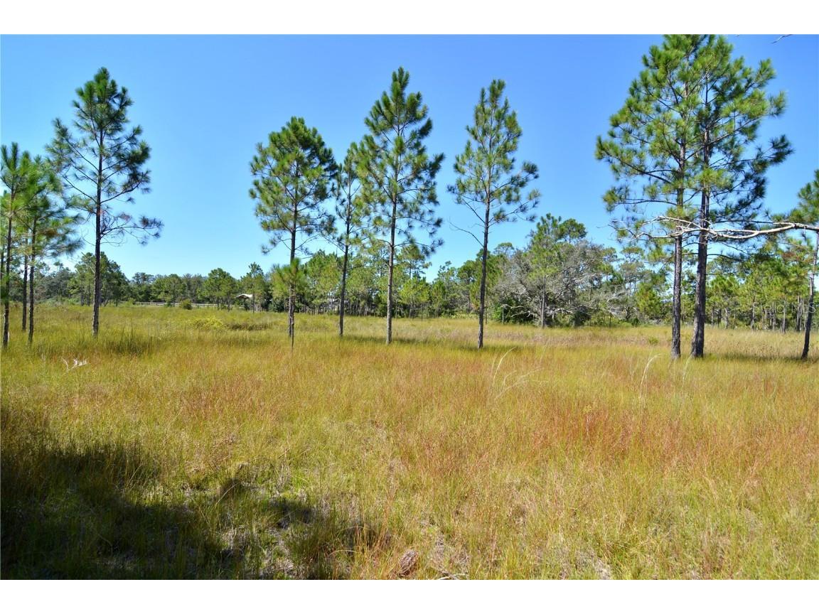 00 Key Deer Ct Perry FL 32348 OM710191 image11