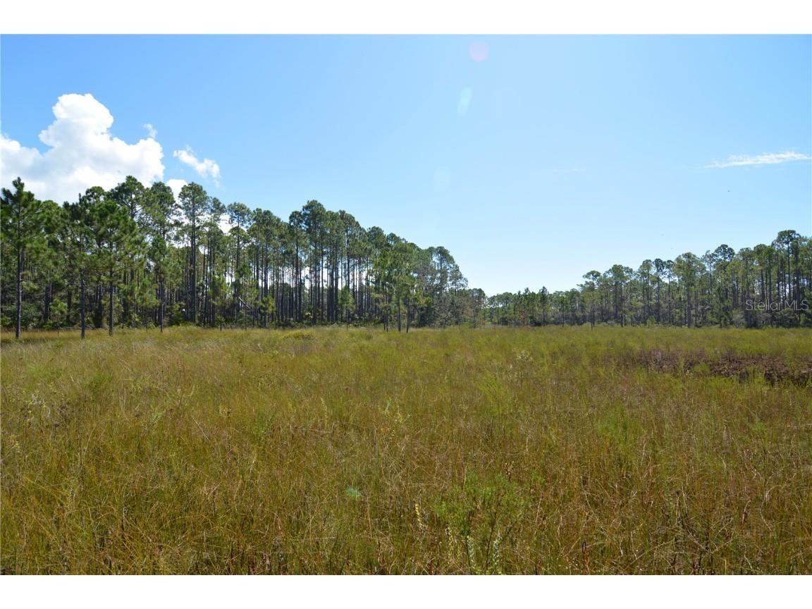 00 Key Deer Ct Perry FL 32348 OM710191 image12