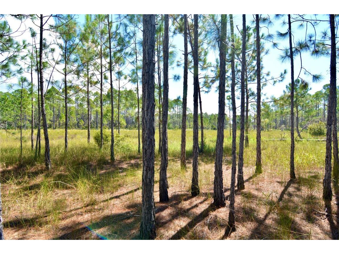 00 Key Deer Ct Perry FL 32348 OM710191 image13