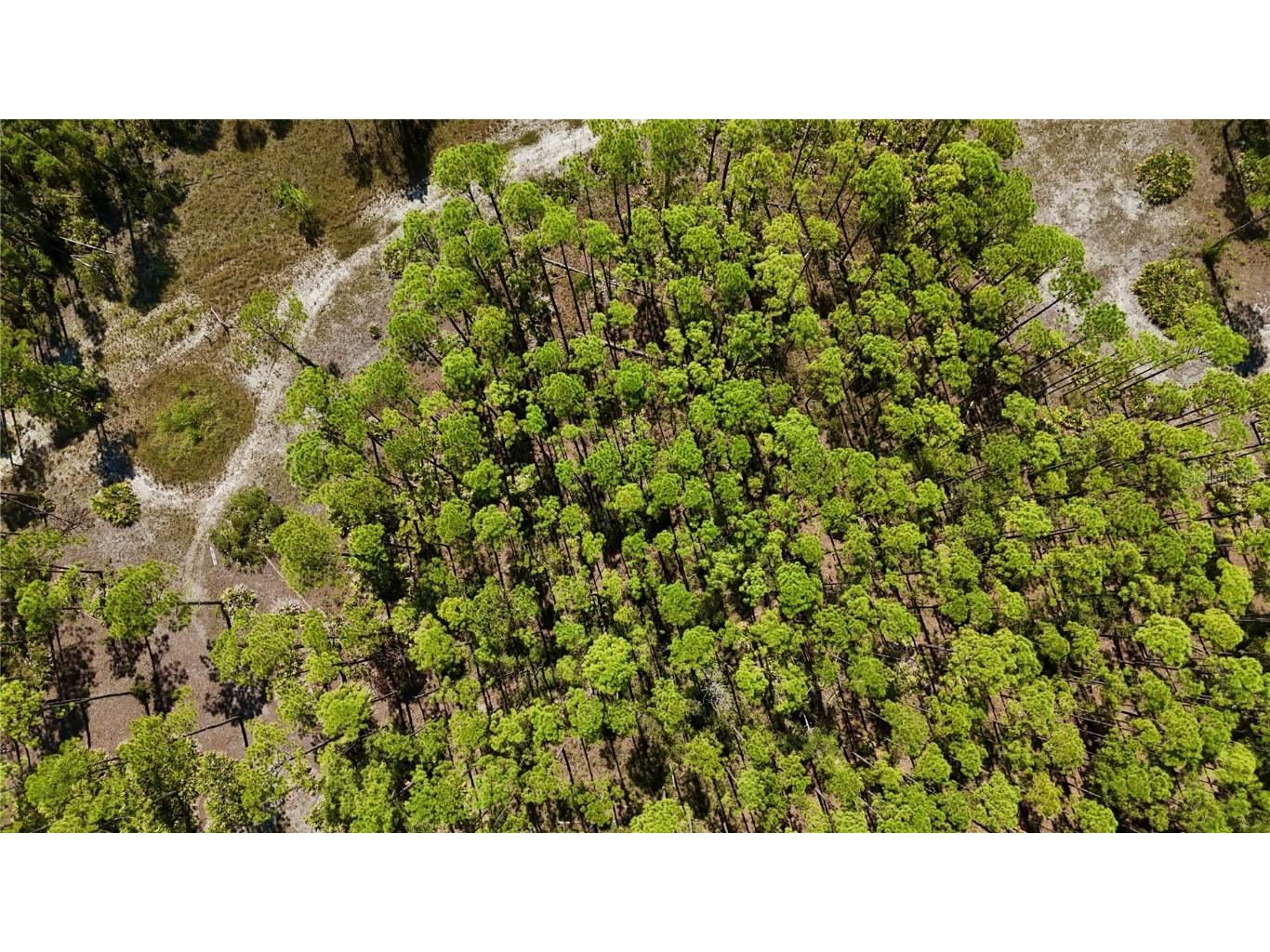 00 Key Deer Ct Perry FL 32348 OM710191 image16