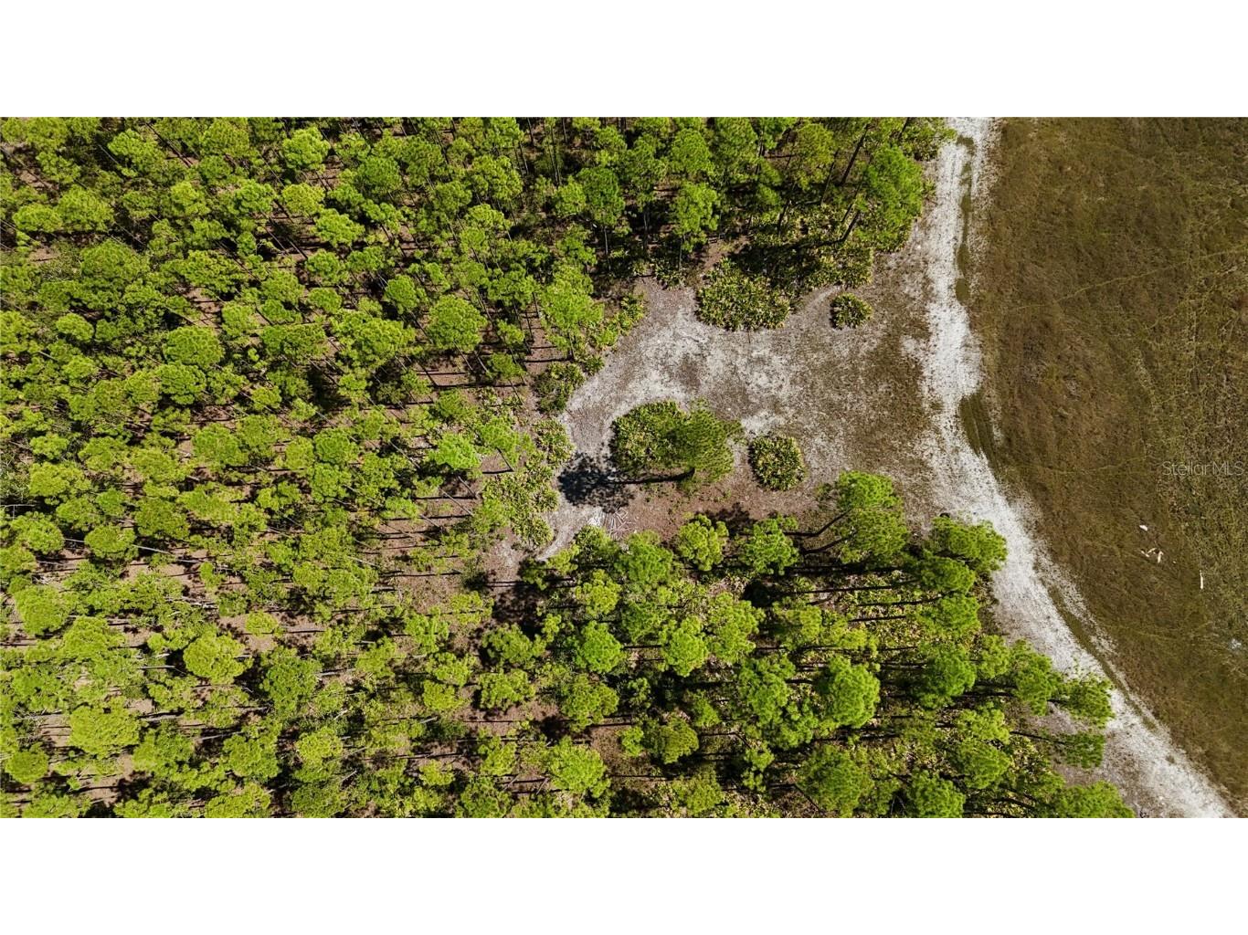 00 Key Deer Ct Perry FL 32348 OM710191 image19