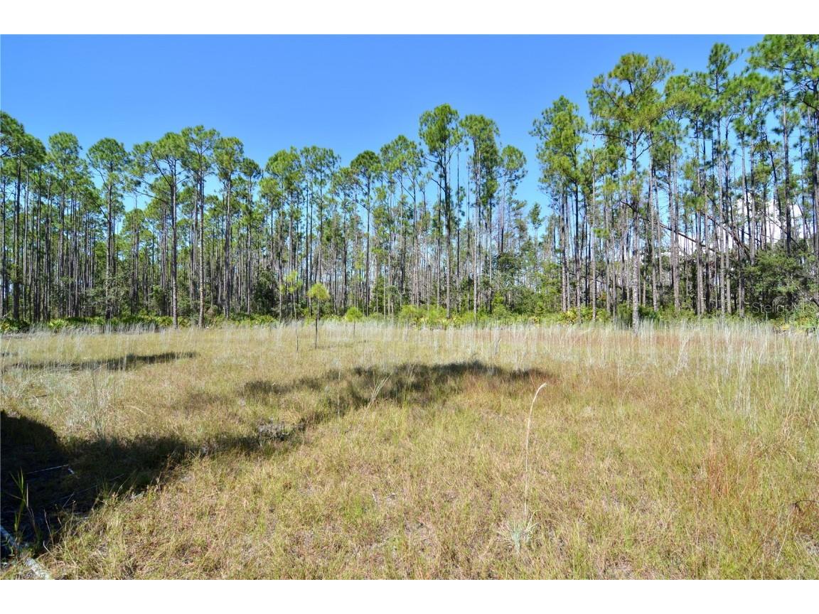 00 Key Deer Ct Perry FL 32348 OM710191 image4