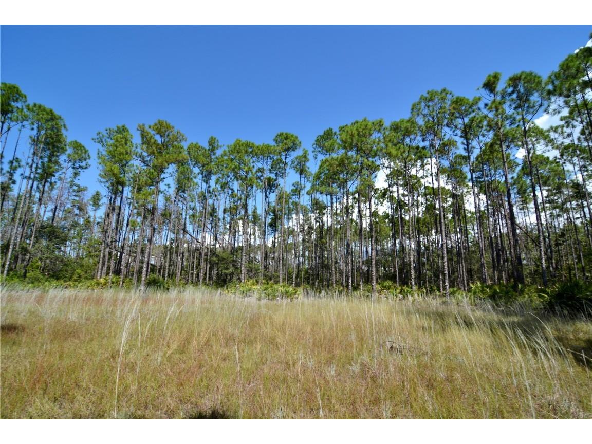 00 Key Deer Ct Perry FL 32348 OM710191 image5