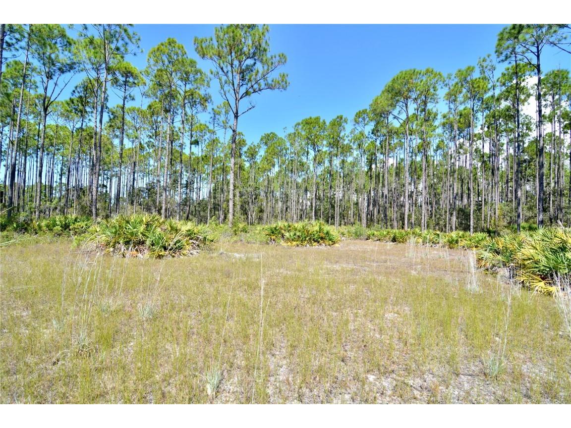 00 Key Deer Ct Perry FL 32348 OM710191 image9