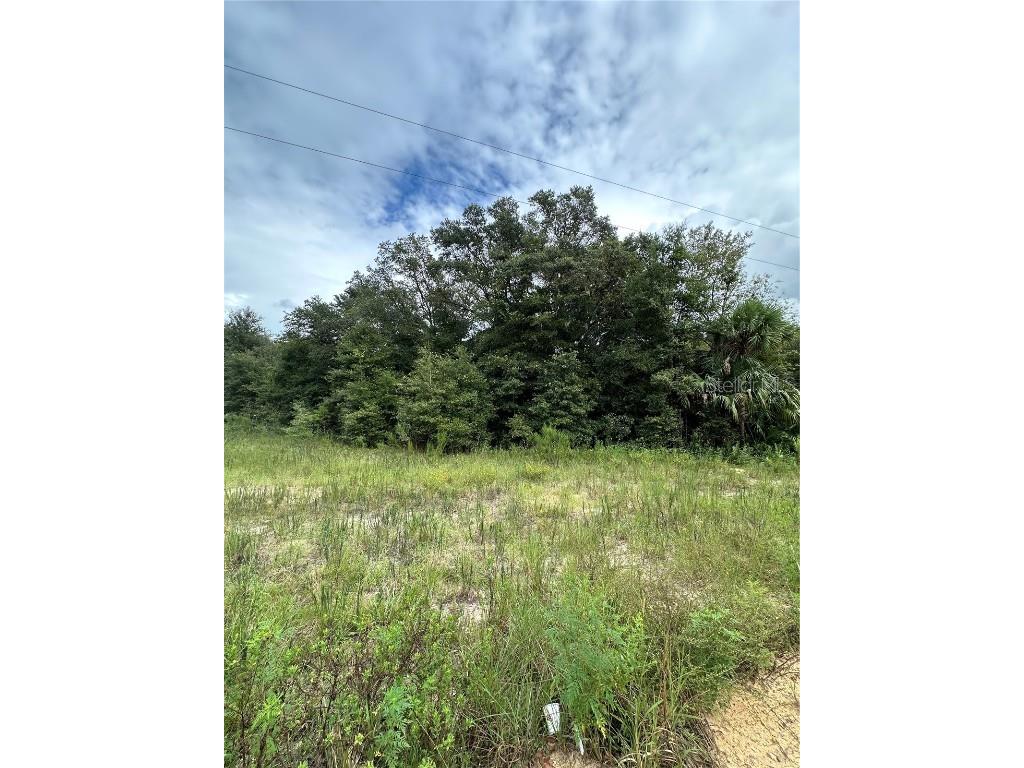 00 Kin Street Interlachen FL 32148 OM710347 image11