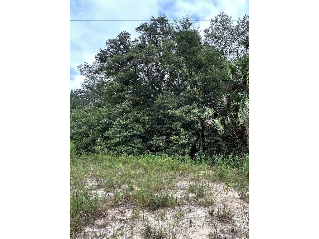 00 Kin Street Interlachen FL 32148 OM710347 image3