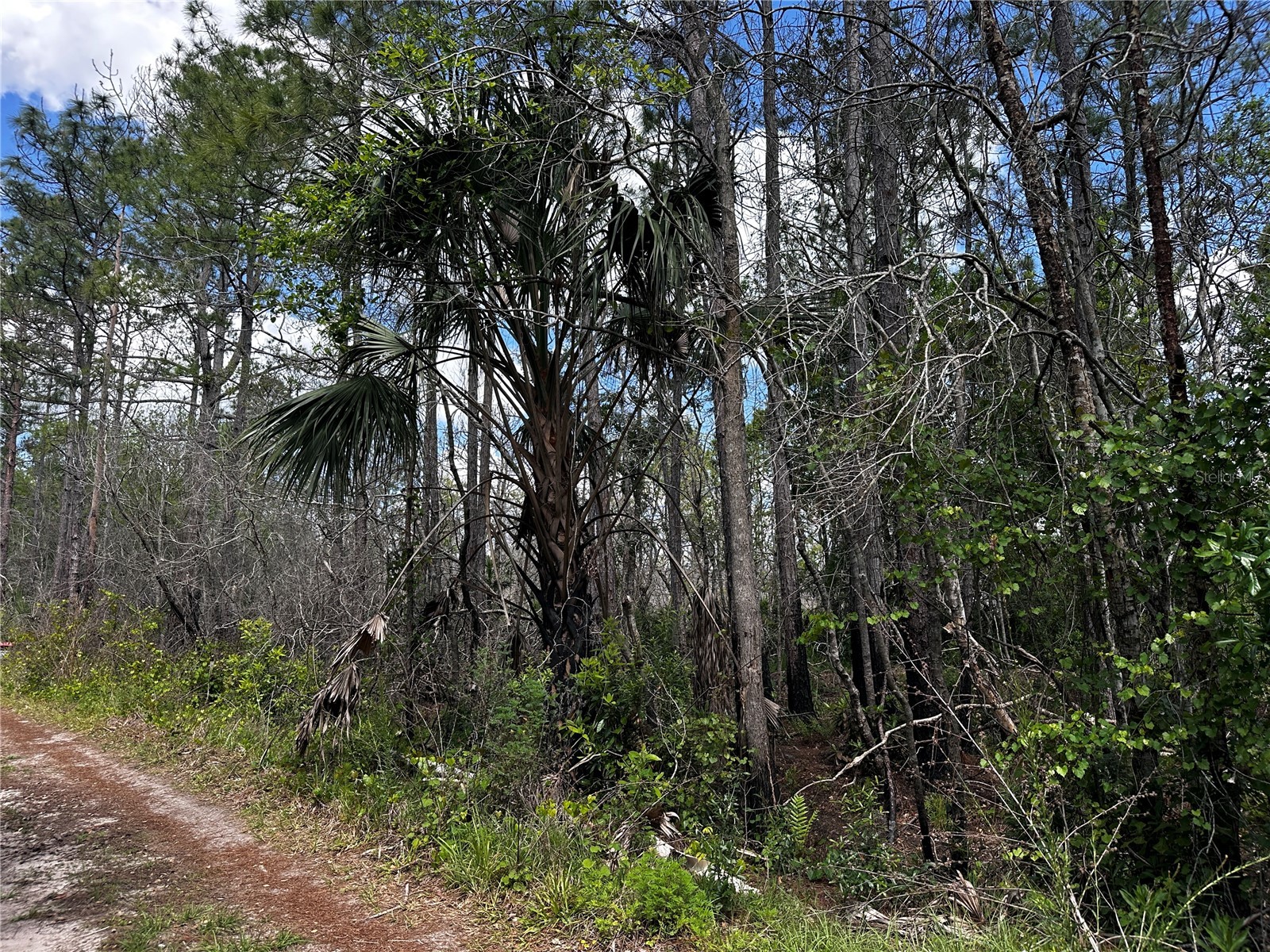00 Kola Road New Smyrna Beach FL 32168 OM723043 image2