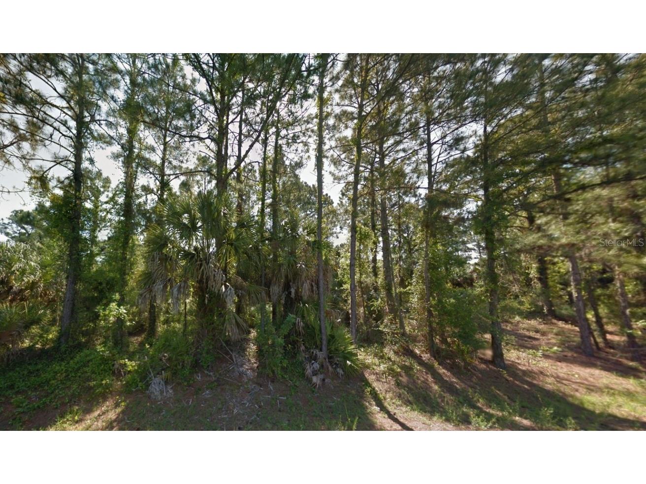 00 La Rocha Street North Port FL 34286 O6219576 image1