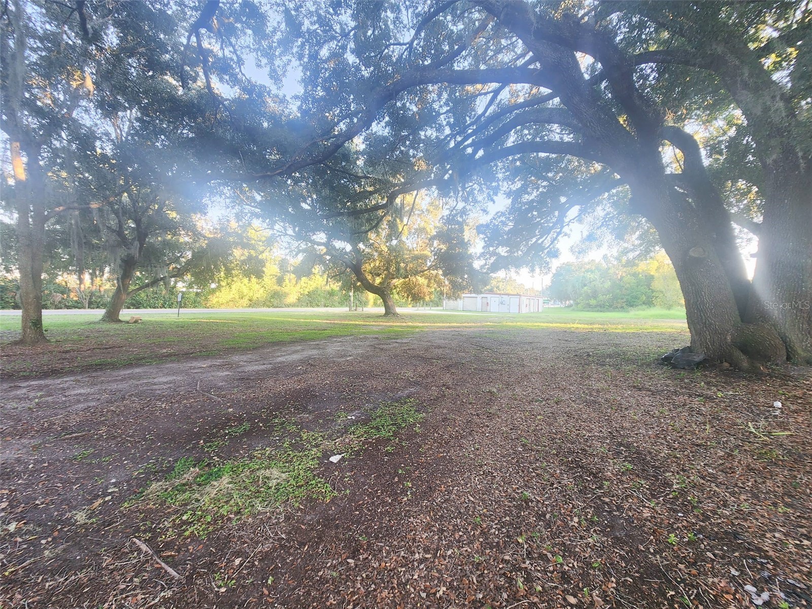 00 Lake Daisy Drive Altoona FL 32702 OM721365 image13