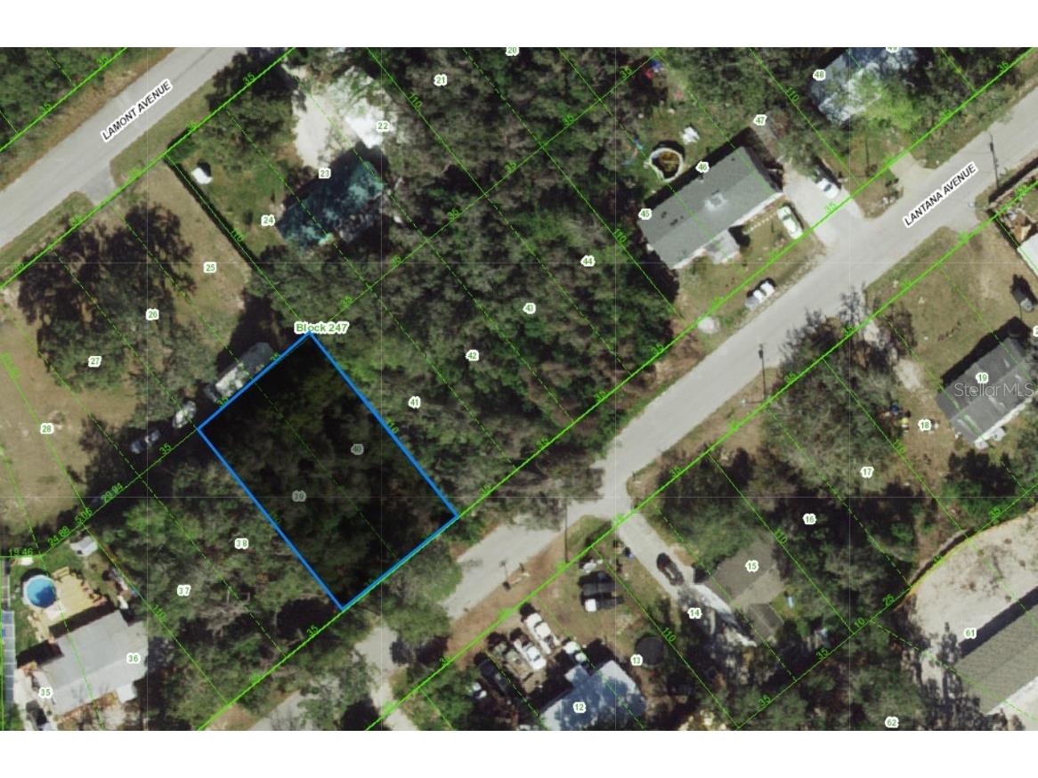 00 Lantana Avenue New Port Richey FL 34654 TB8449482 image2