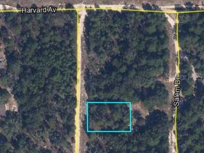 00 Lehigh Drive Keystone Heights FL 32656 GC536105 image1