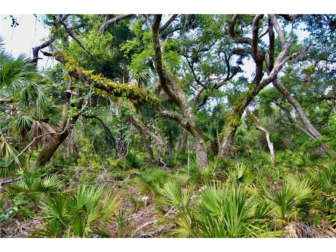 00 Leroy Lyons Rd Perry FL 32348 OM702651 image1