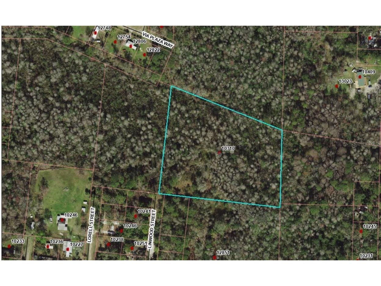 00 Linwood Street New Port Richey FL 34654 W7869588 image1