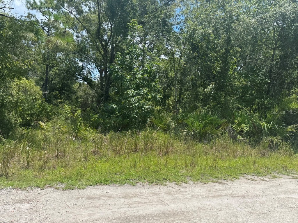 00 Lisle Avenue New Port Richey FL 34654 A4660732 image1