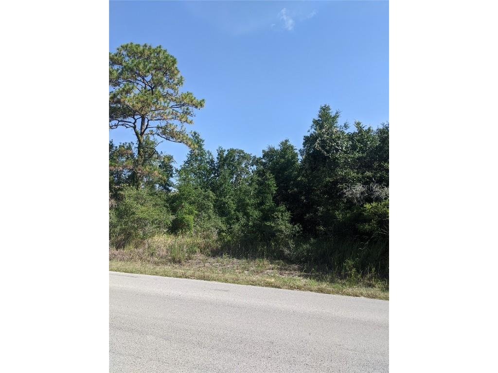 00 Little Ranch Road Spring Hill FL 34610 T3466958 image1