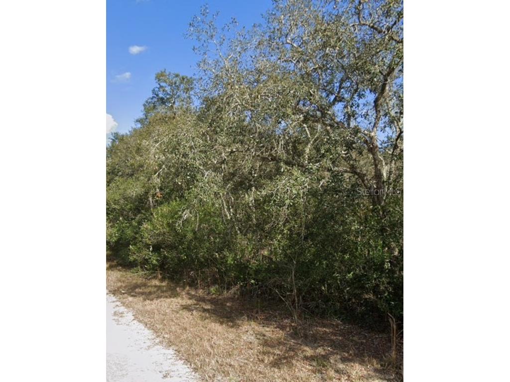 00 Little Stone Drive Webster FL 33597 G5103978 image1