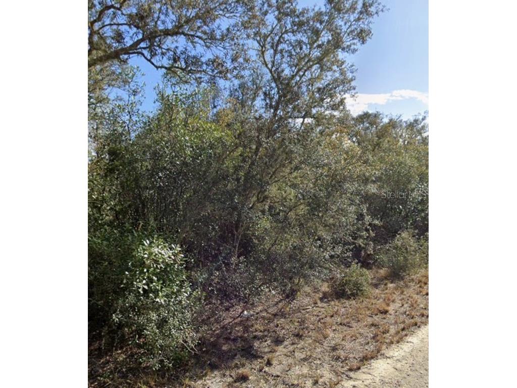 00 Little Stone Drive Webster FL 33597 G5103978 image2