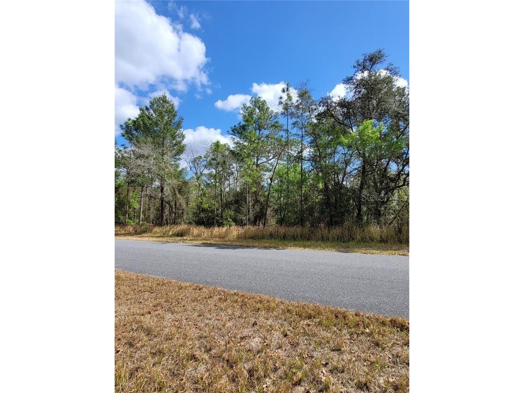 00 Locust Loop Ocklawaha FL 32179 L4928171 image1