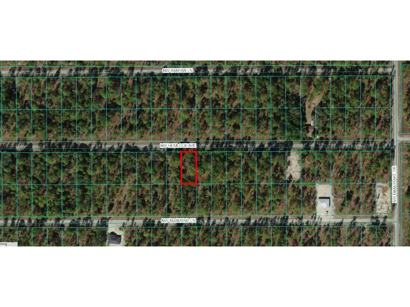 00 Magnolia Drive Ocklawaha FL 32179 OM670659 image1