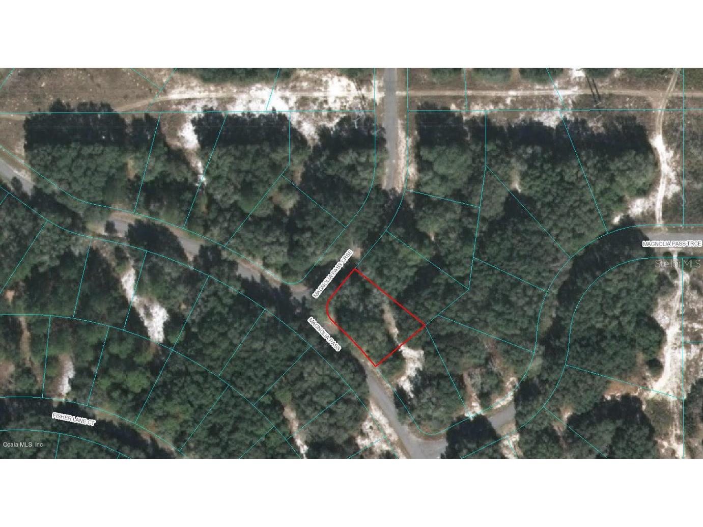 00 Magnolia Pass Course Ocklawaha FL 32179 OM523123 image1