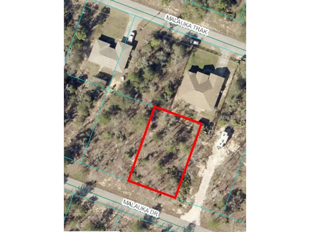 00 Malauka Drive #LOT 8 Ocklawaha FL 32179 OM706450 image1