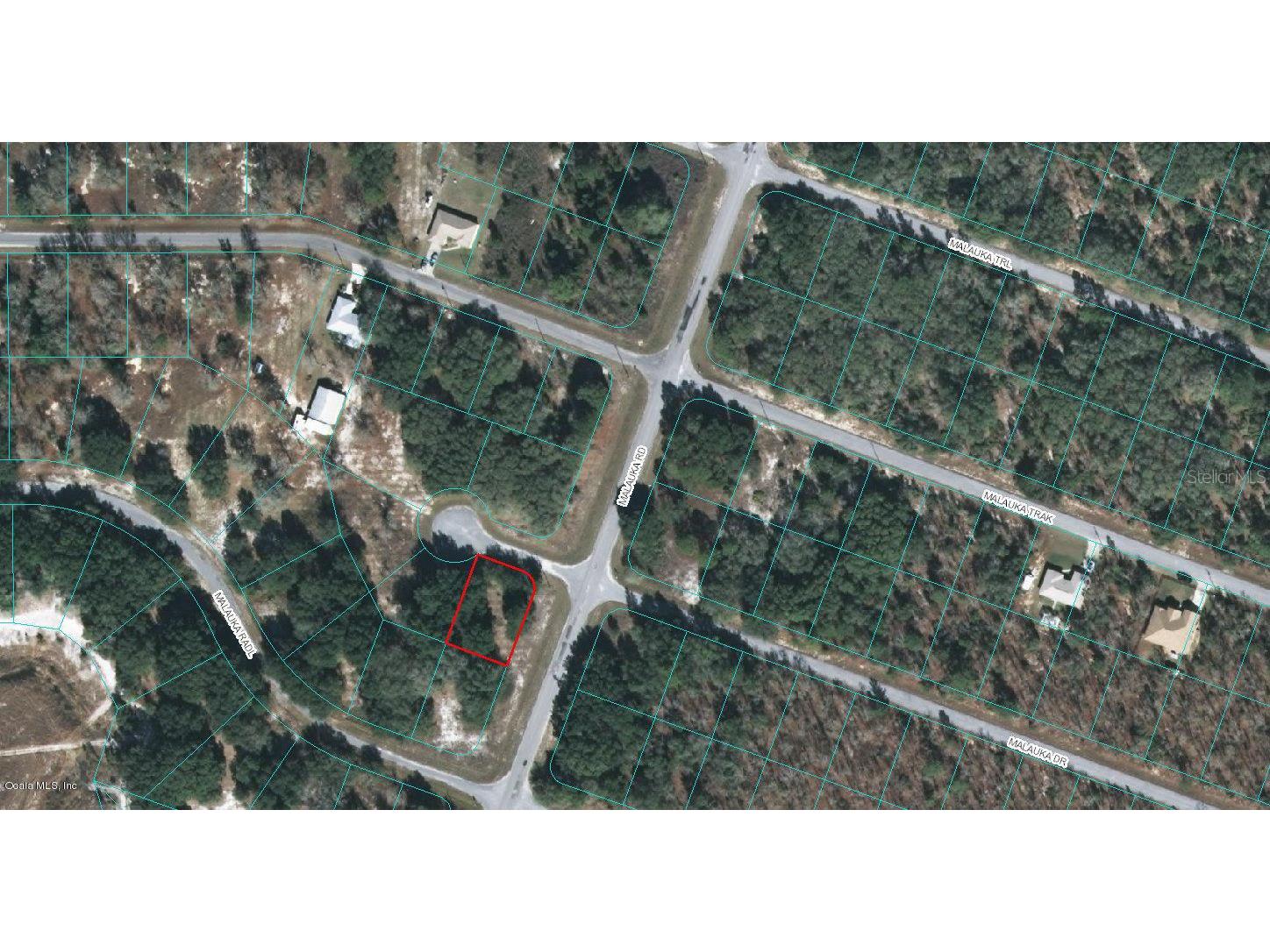 00 Malauka Drive Ocklawaha FL 32179 OM523098 image1