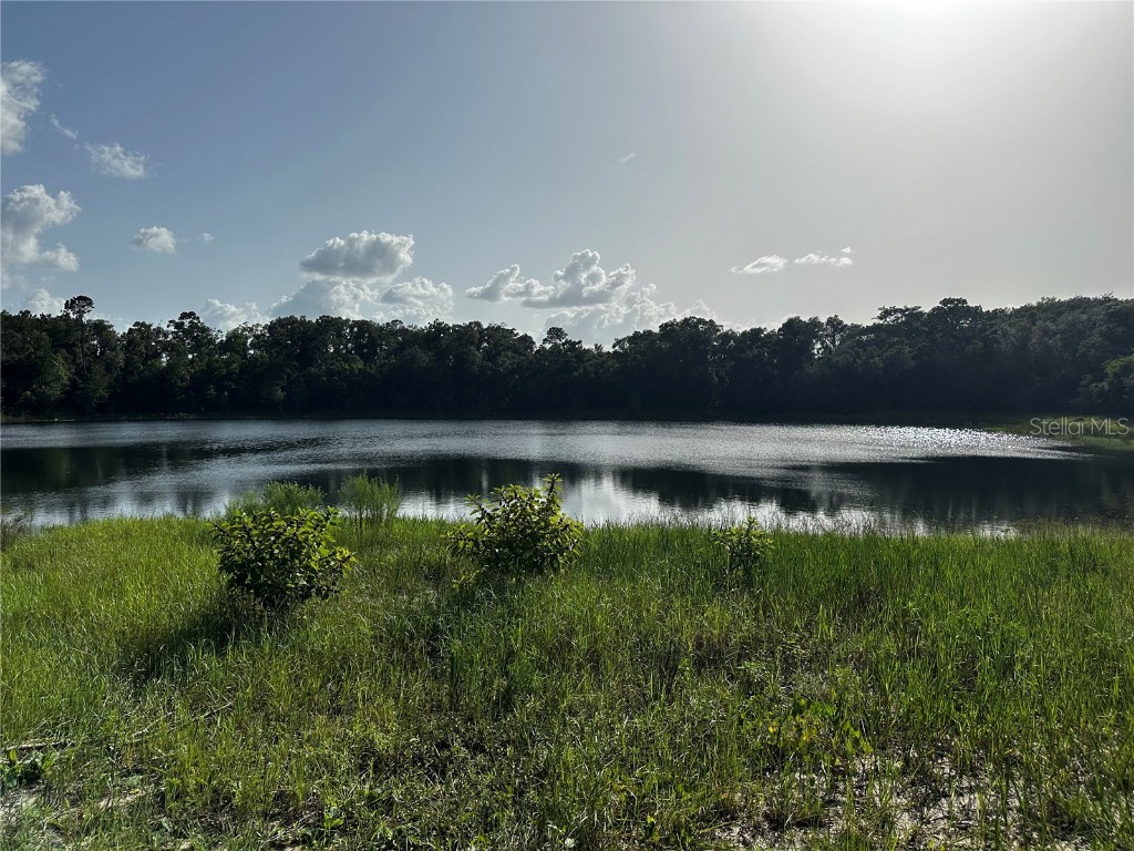 00 Malauka Lot 19 Loop Ocklawaha FL 32179 G5072375 image1