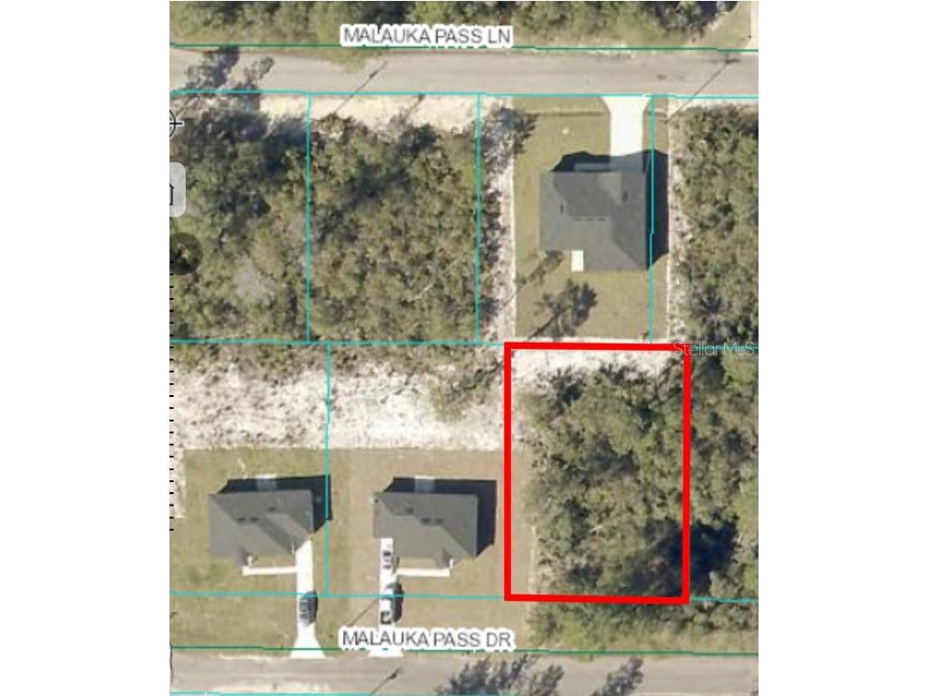 00 Malauka Pass Drive #LOT 5 Ocklawaha FL 32179 OM695955 image1