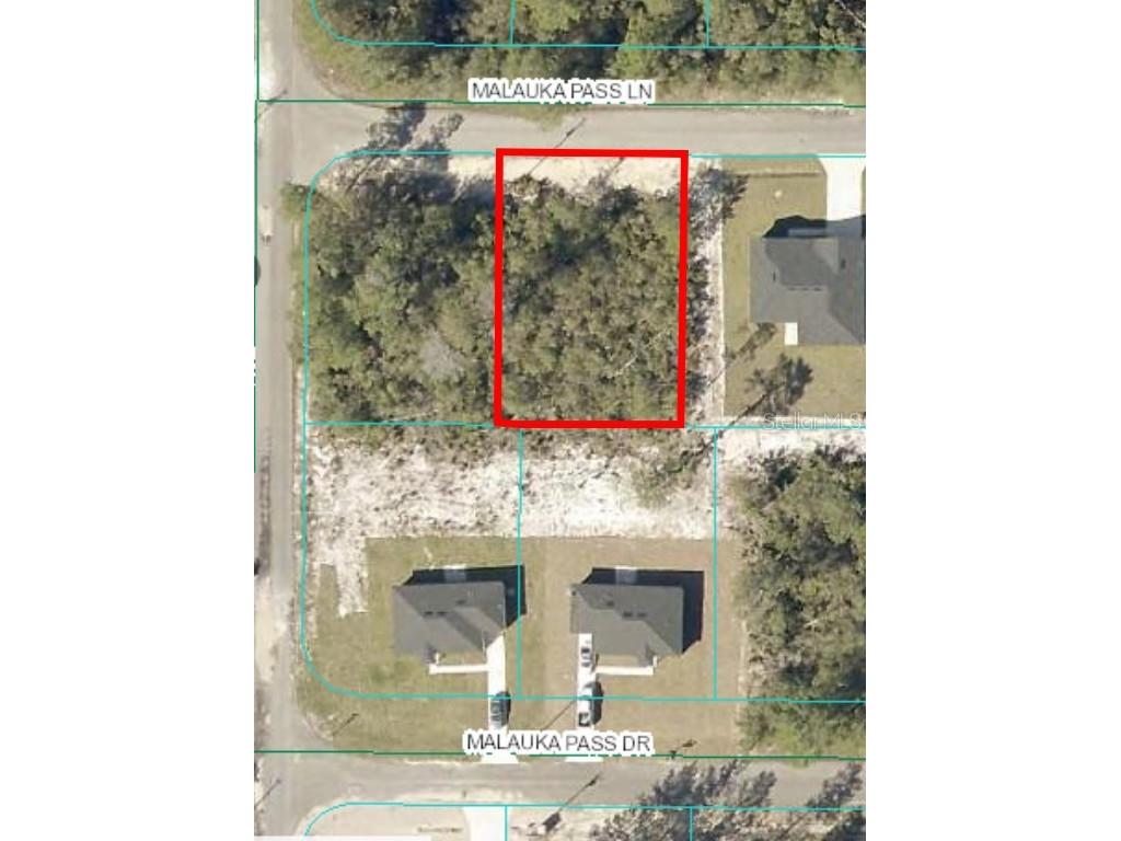 00 Malauka Pass Lane #LOT 9 Ocklawaha FL 32179 OM695450 image1