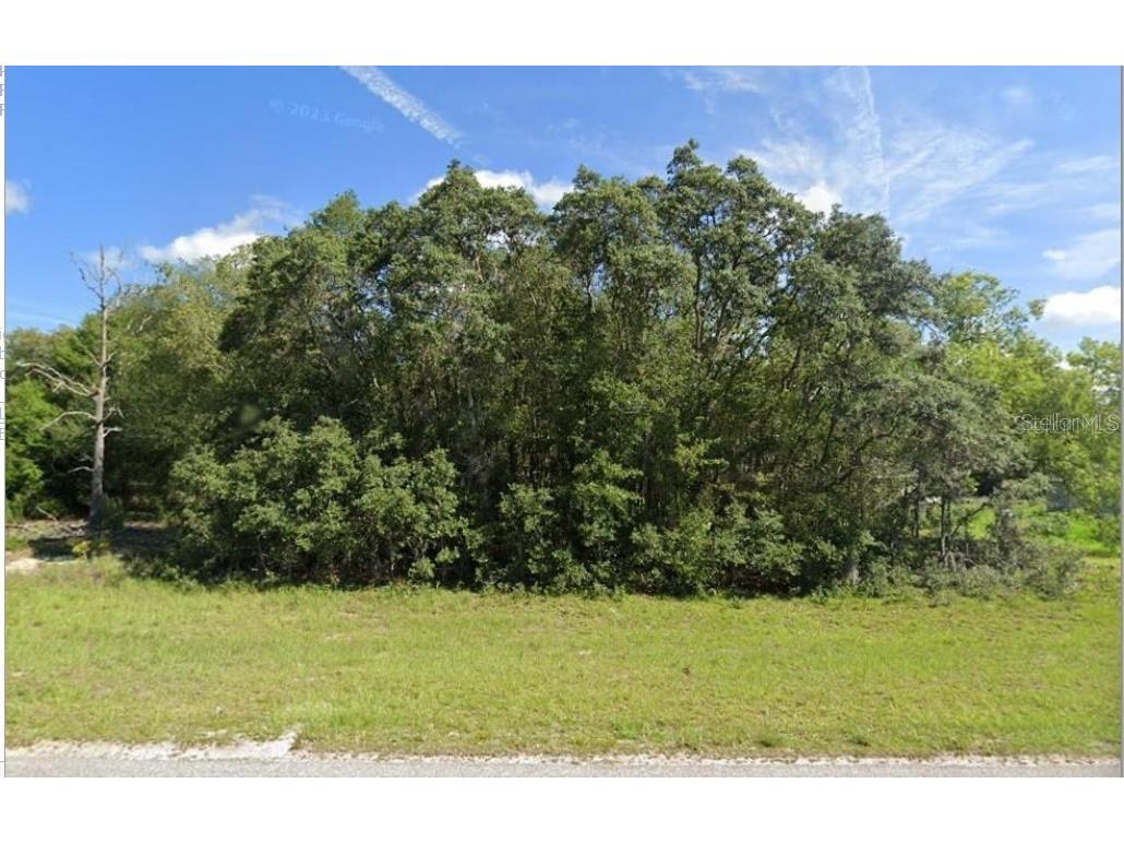 00 Malauka Rd #40 Ocklawaha FL 32179 O6401228 image1