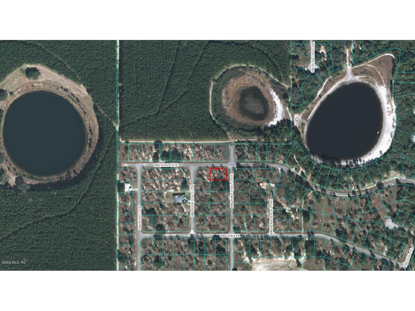 00 Malauka Trail Course Ocklawaha FL 32179 OM523092 image1