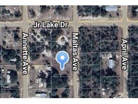 00 Maltas Avenue Interlachen FL 32148 OM696541 image2