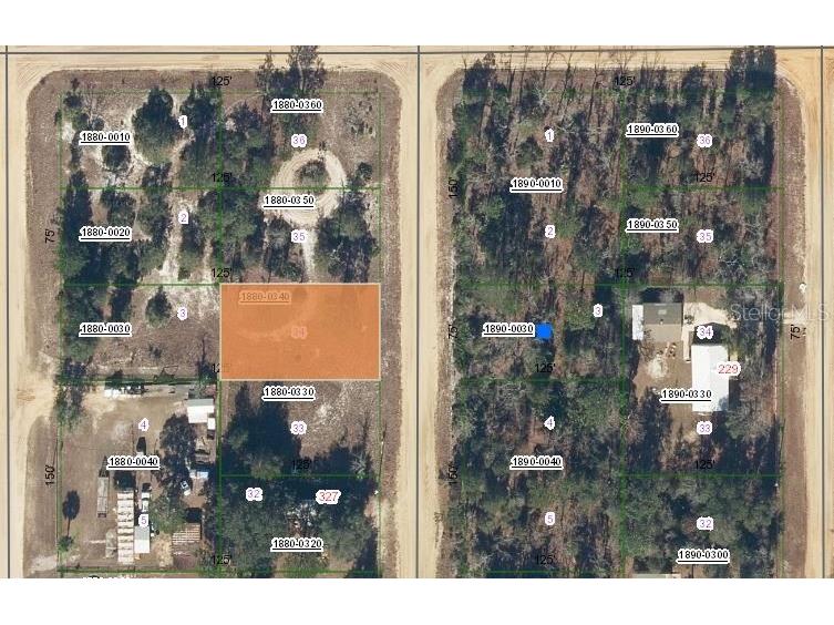 00 Maltas Avenue Interlachen FL 32148 OM696565 image1