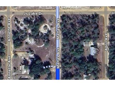 00 Maltas Avenue Interlachen FL 32148 OM696565 image2