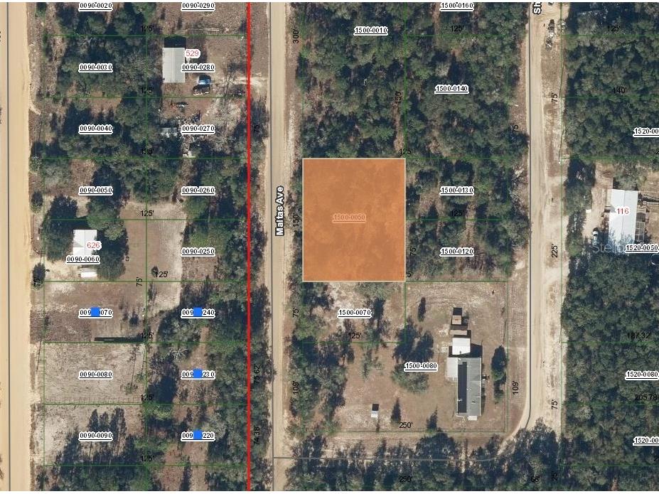 00 Maltas Avenue Interlachen FL 32148 OM698502 image1