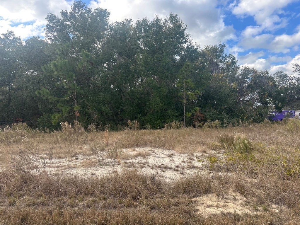 00 Maple Lane Ocklawaha FL 32179 OM715212 image5