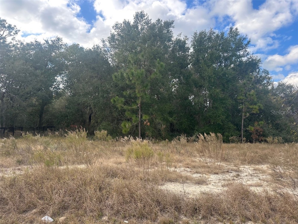 00 Maple Lane Ocklawaha FL 32179 OM715212 image6