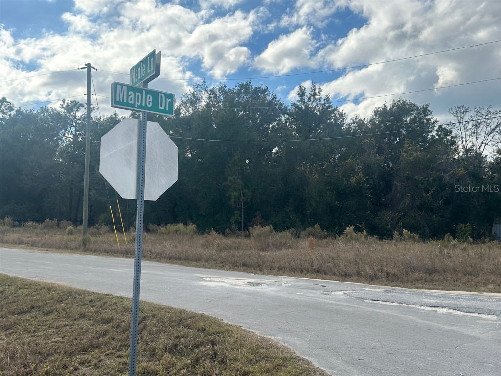 00 Maple Lane Ocklawaha FL 32179 OM715212 image9