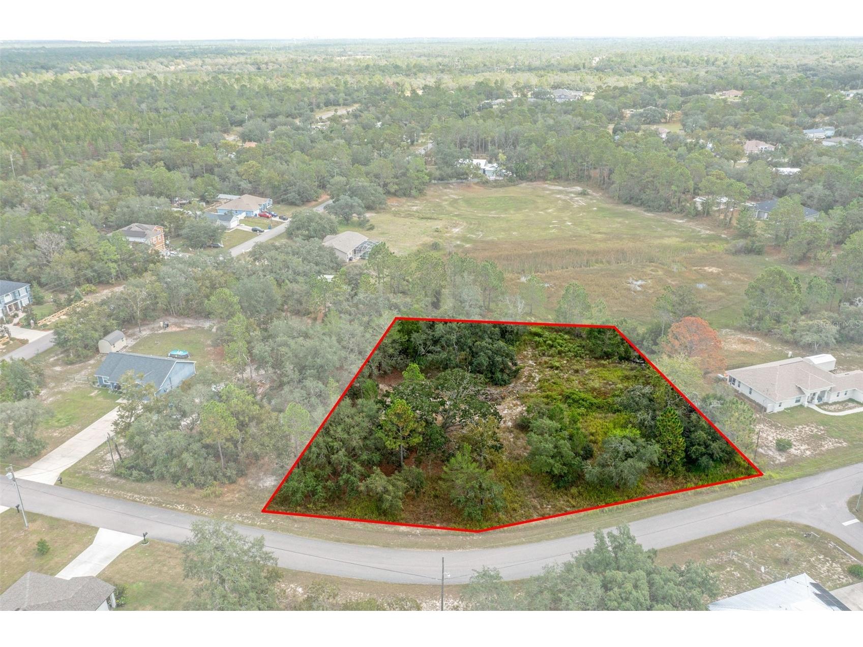 00 Marbled Godwit Road Weeki Wachee FL 34614 W7879651 image1