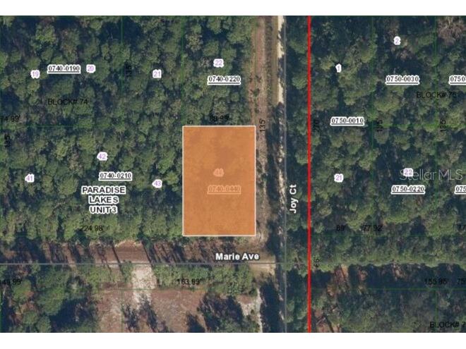 00 Marie Avenue Georgetown FL 32139 FC312408 image1