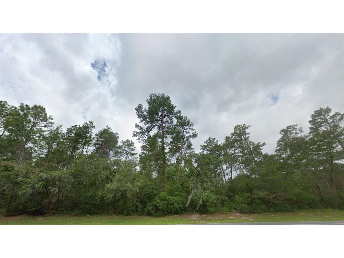 00 Marion Oaks Blvd Ocala FL 34473 OM688871 image1